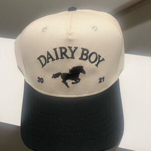 Dairy boy hat